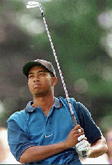 Tiger Woods