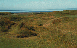 Troon Postage Stamp Hole